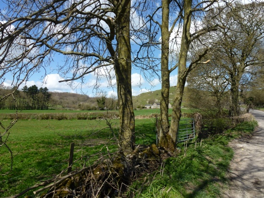 View across the fields at Ballidon.