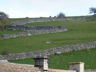 Fields above the village of Hartington. 