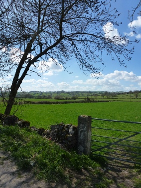 Fields near Ballidon.